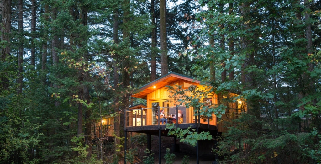 hospitality design leadership interview - Skamania Cabins